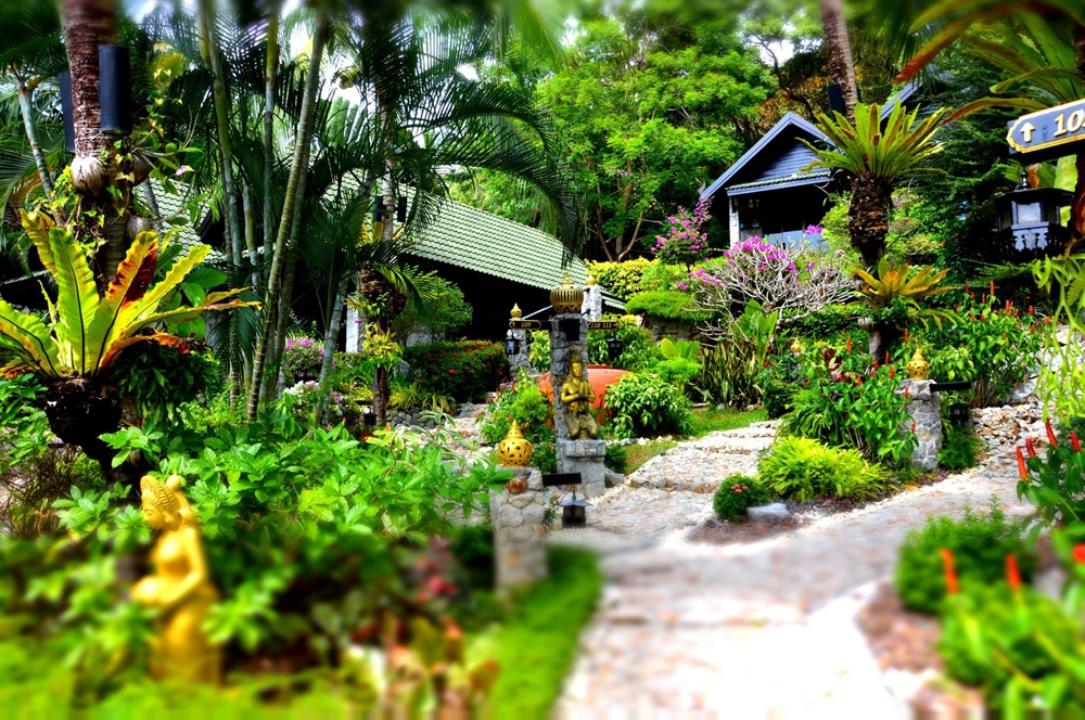 giardino-bvr
